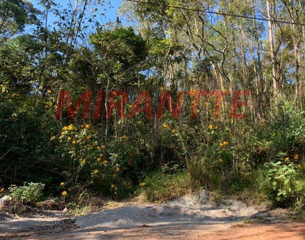 Terreno de 0m² em Mantiqueira