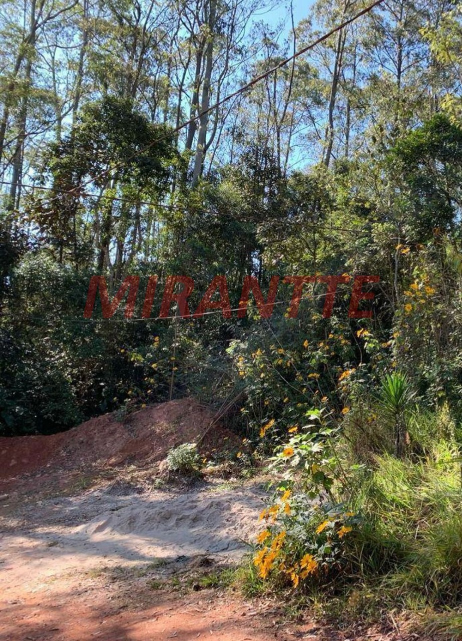 Terreno de 0m² em Mantiqueira