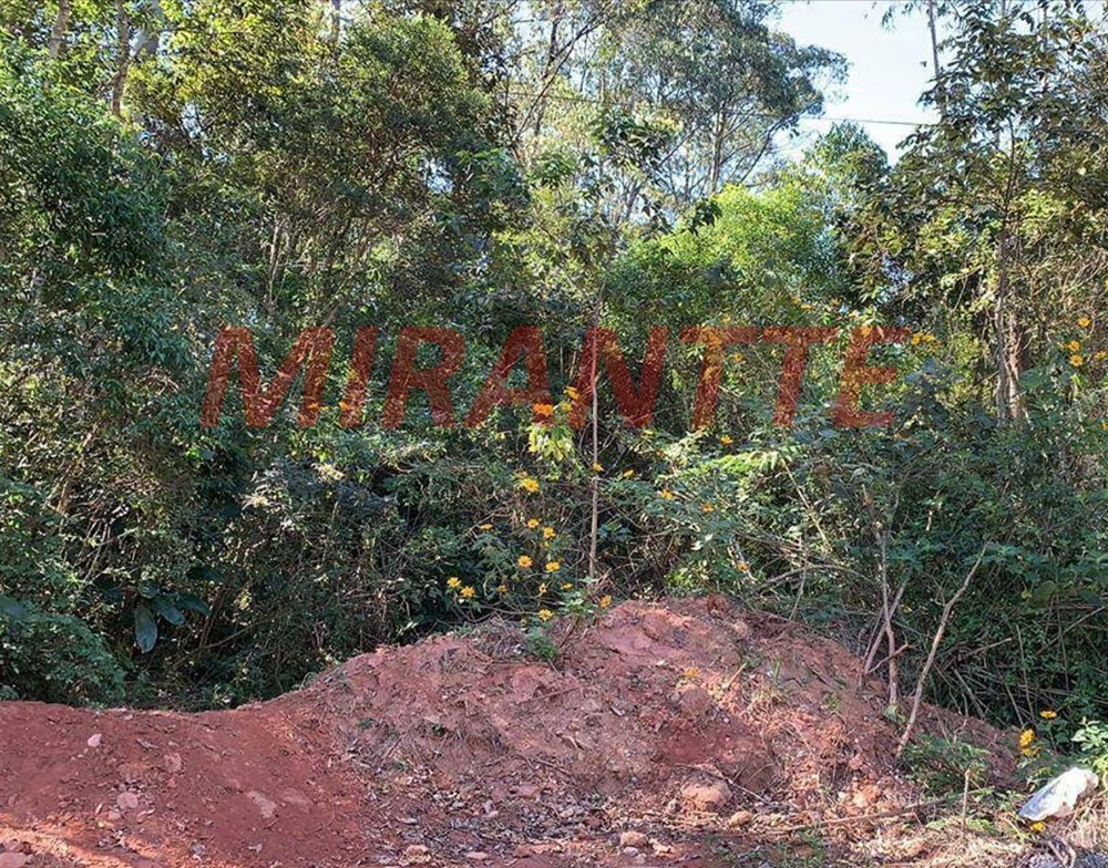 Terreno de 0m² em Mantiqueira