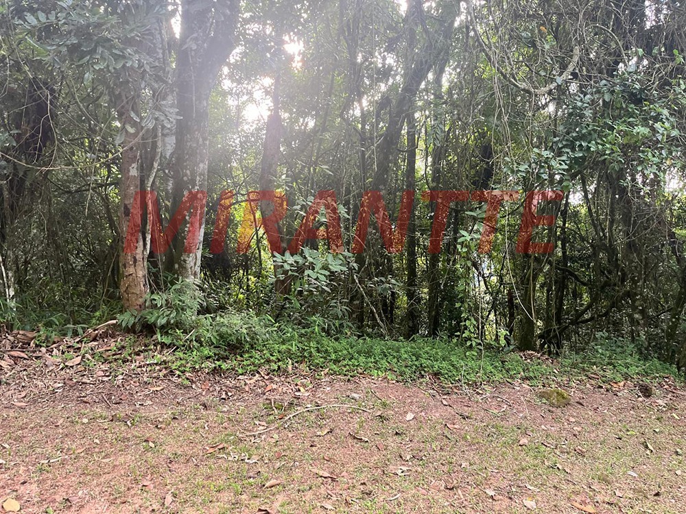 Terreno de m² em Roseira