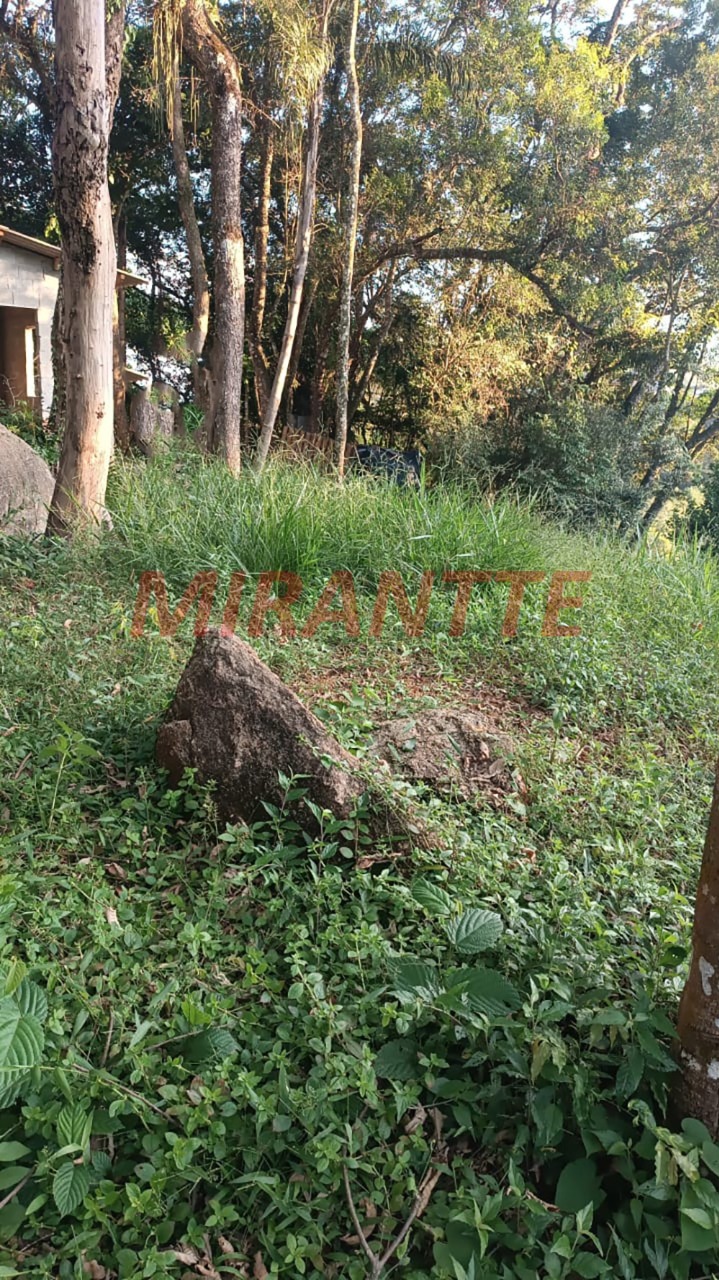 Casa terrea de 95m² com 2 quartos em Apolinã¡rio
