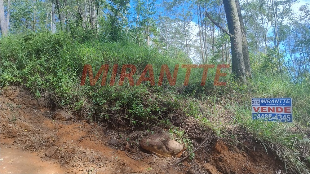 Terreno de 0m² em Mantiqueira