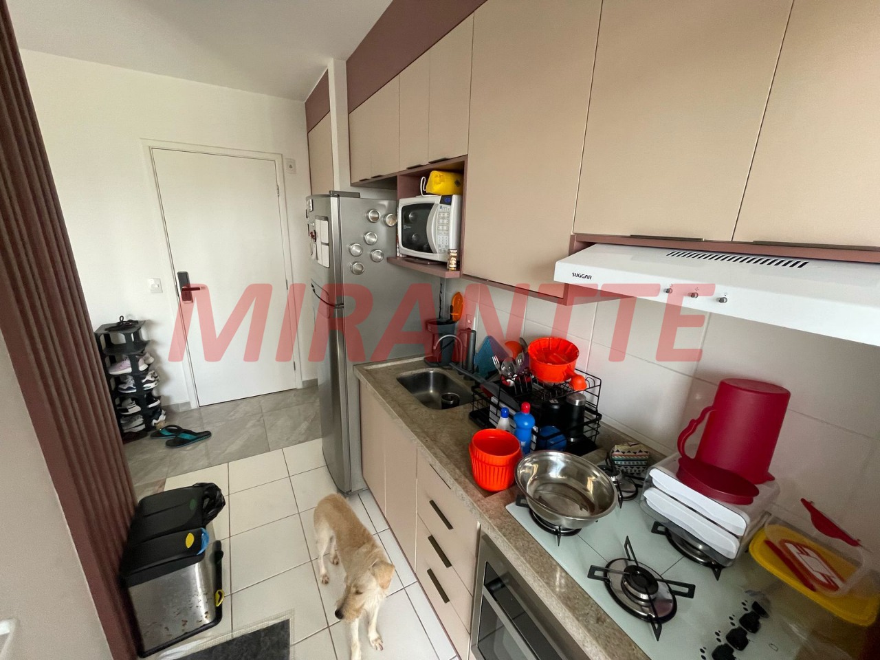 Apartamento de 43m² com 2 quartos em Vila Guaca