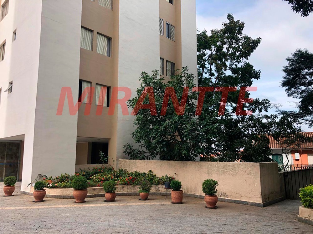 Apartamento de 54m² com 2 quartos em Tucuruvi