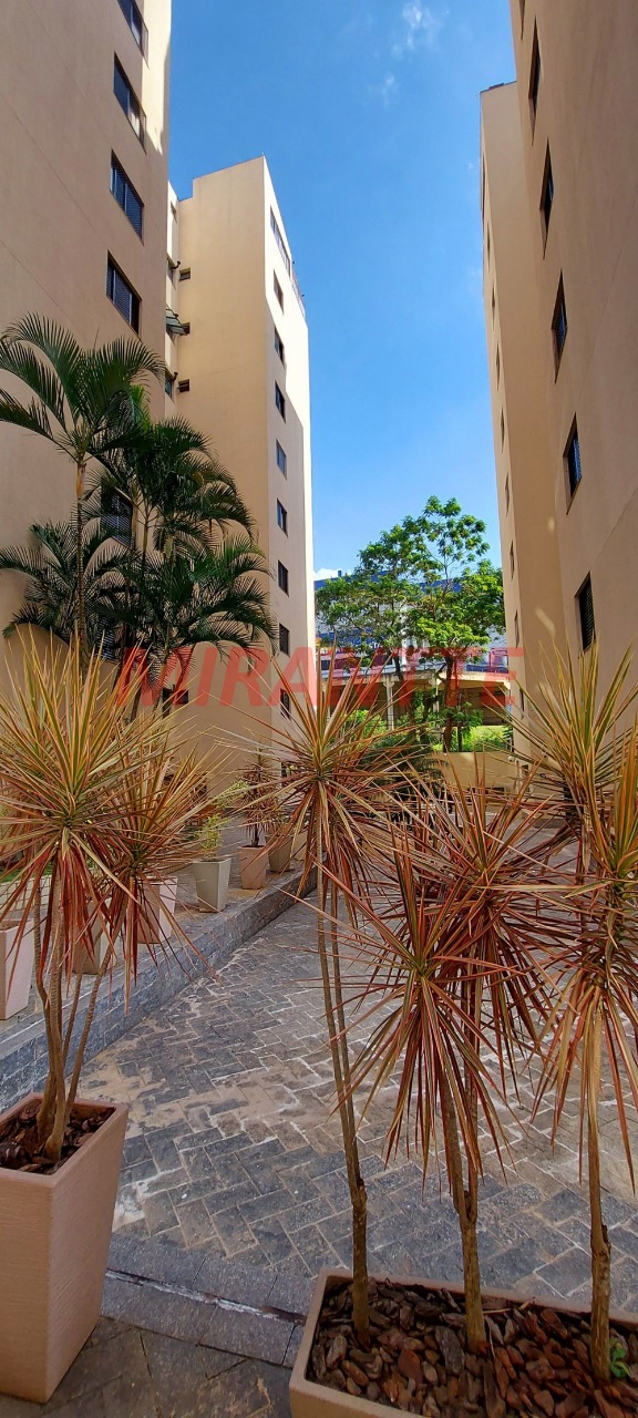 Apartamento de 82m² com 2 quartos em Tucuruvi