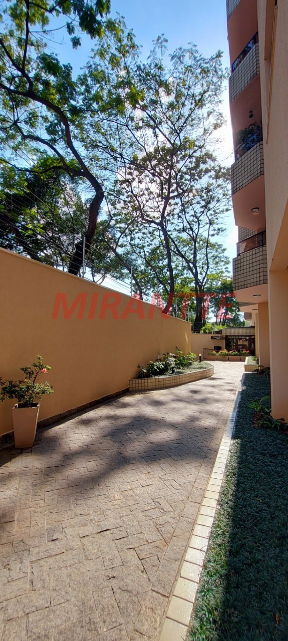 Apartamento de 82m² com 2 quartos em Tucuruvi
