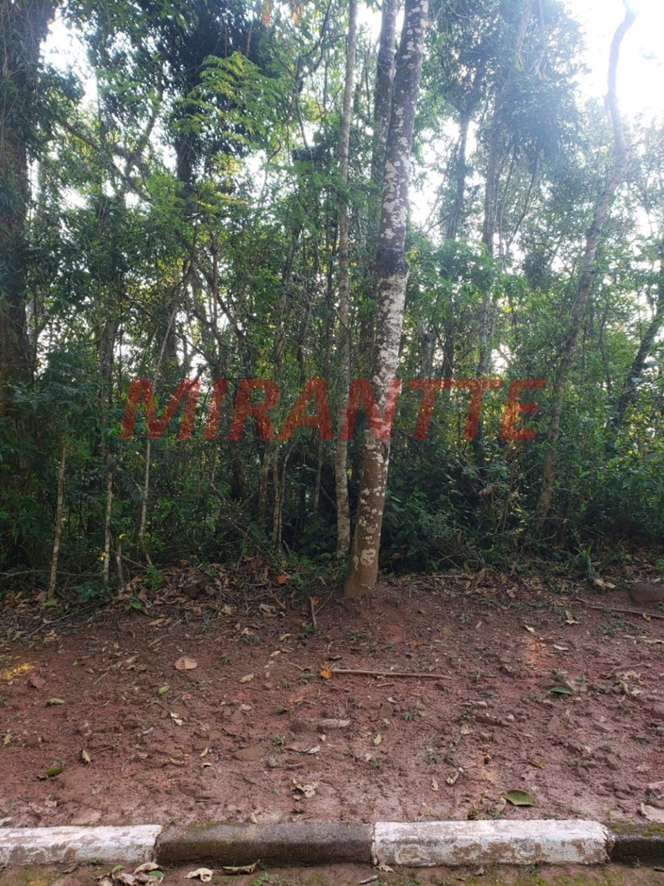 Terreno de 0m² em Serra da Cantareira