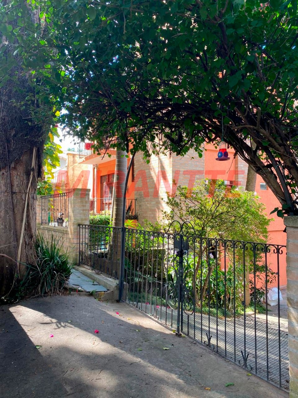 Casa terrea de 187m² com 4 quartos em Vila Albertina