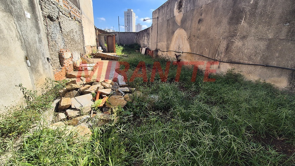 Casa terrea de 160m² com 3 quartos em Mooca