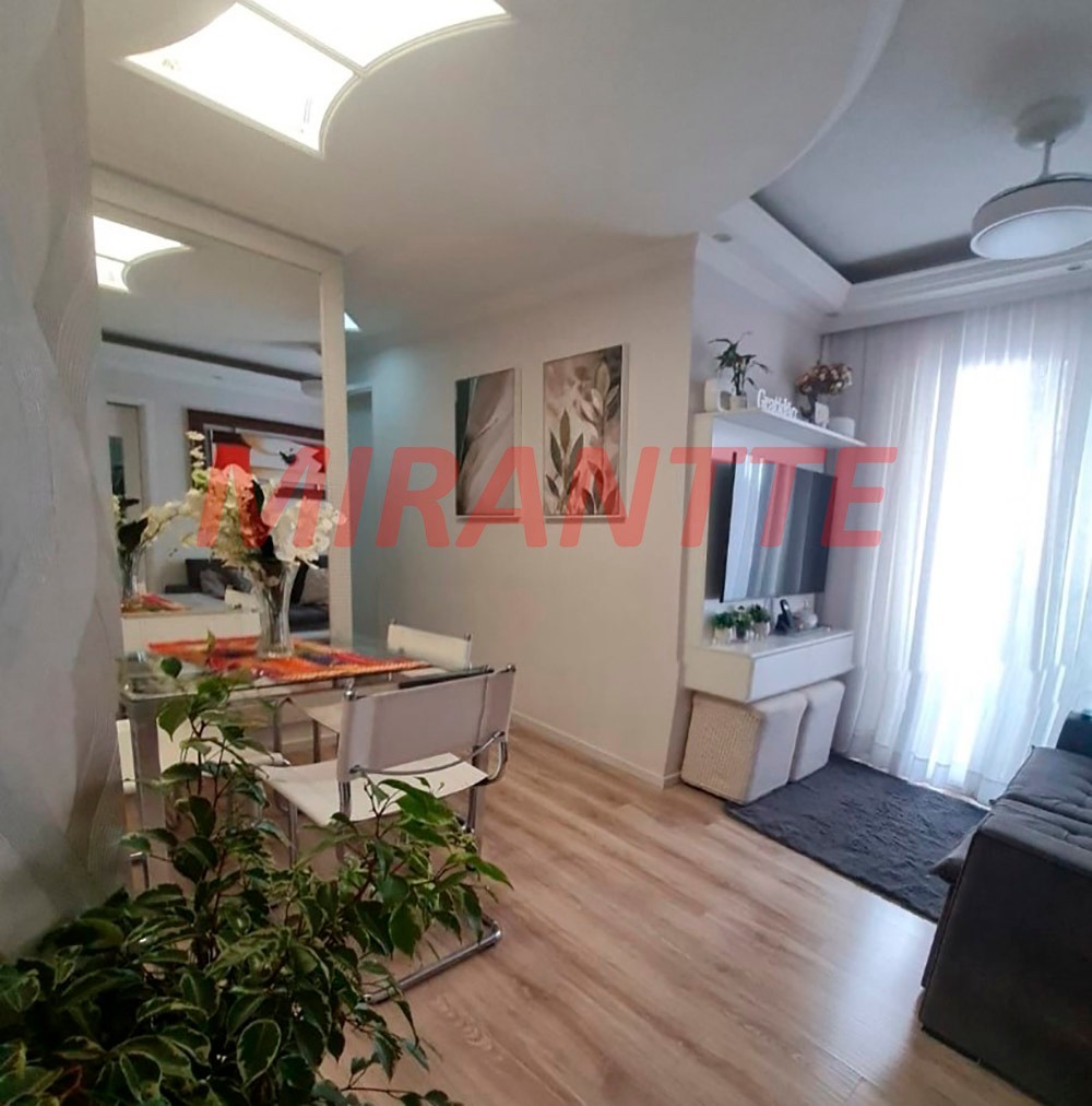 Apartamento de 50m² com 2 quartos em Lauzane Paulista