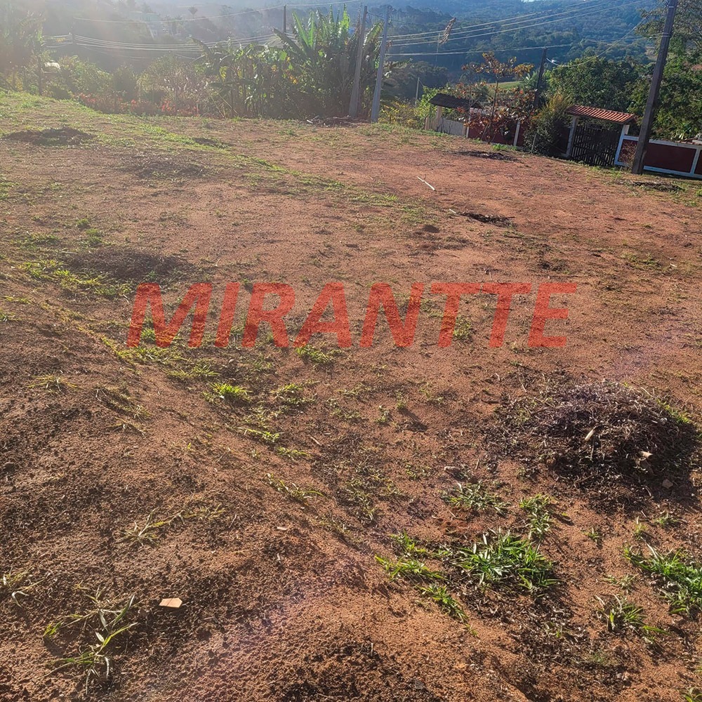 Terreno de 0m² em Tavares