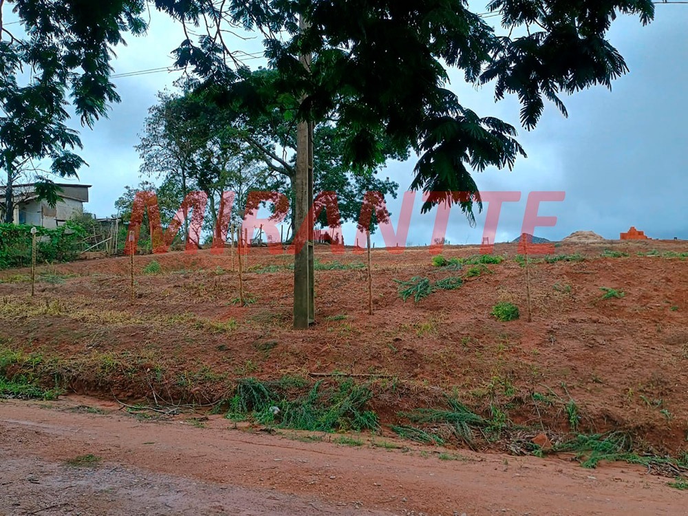 Terreno de 0m² em Tavares