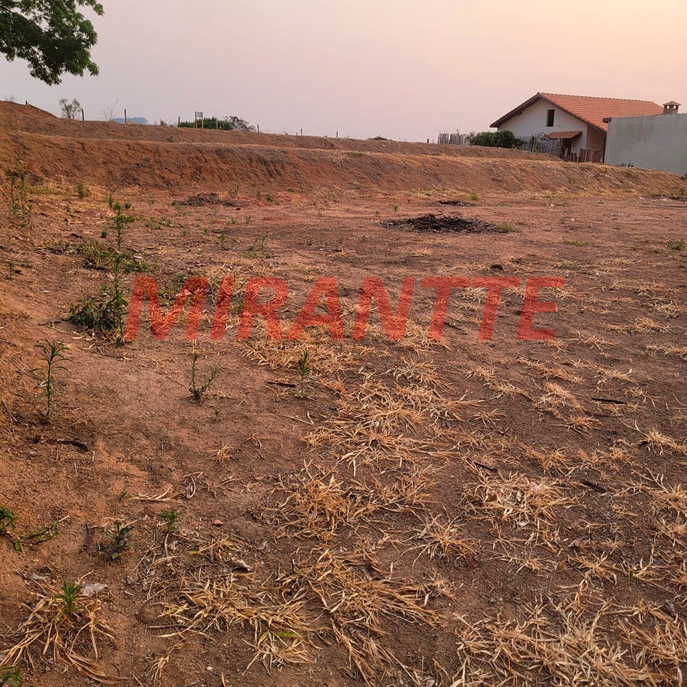Terreno de 0m² em Tavares