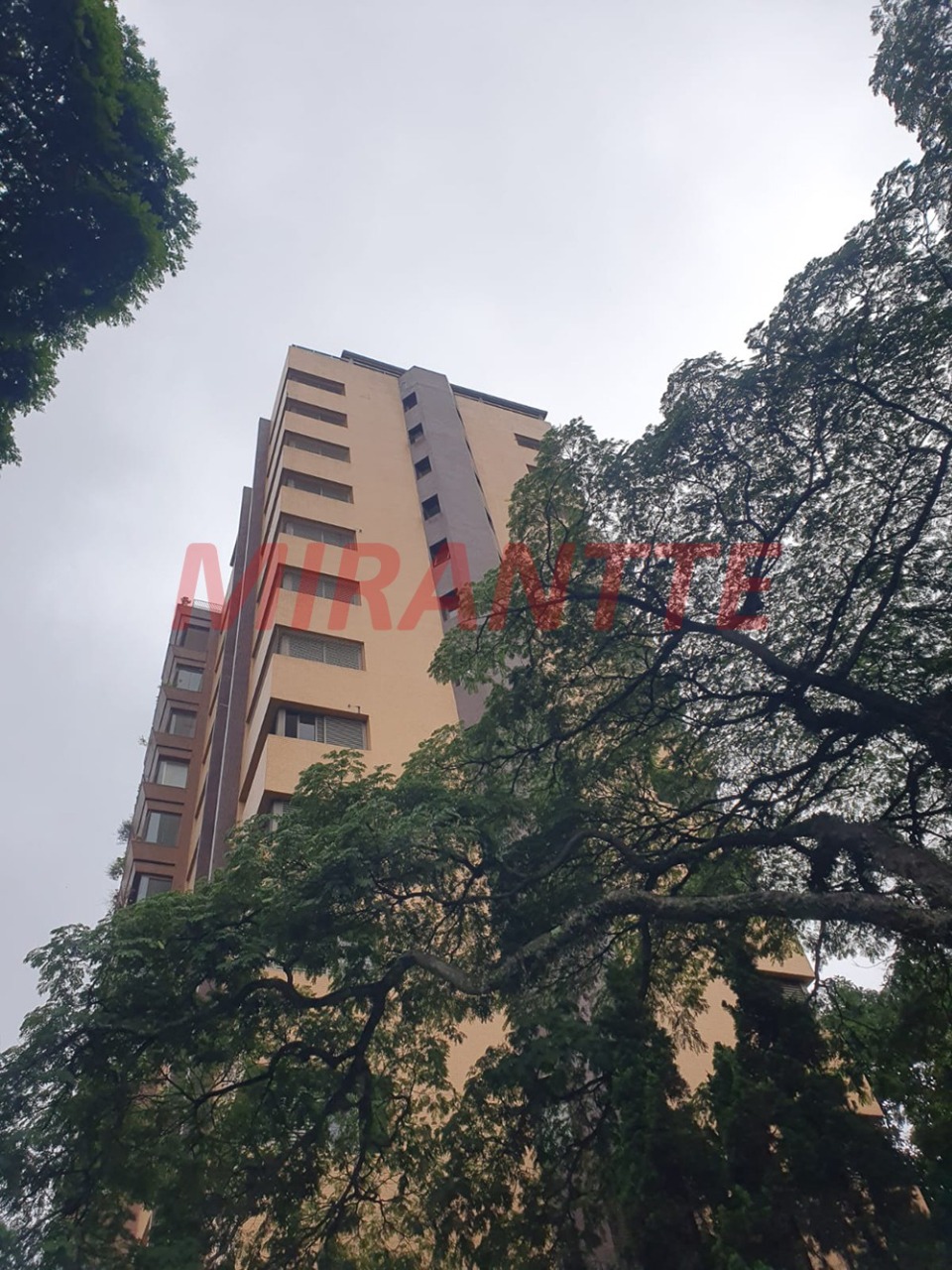 Apartamento de 151.5m² com 3 quartos em Vila Albertina