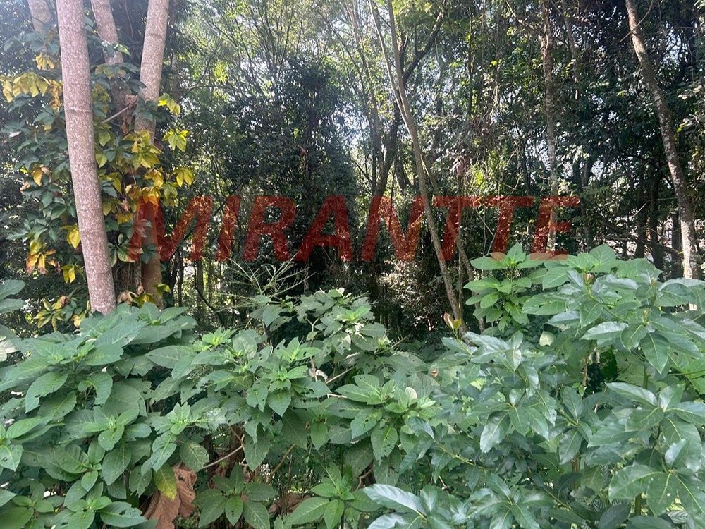 Cond. fechado de 299.76m² com 4 quartos em Roseira