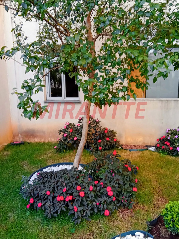 Apartamento de 46m² com 2 quartos em Luz