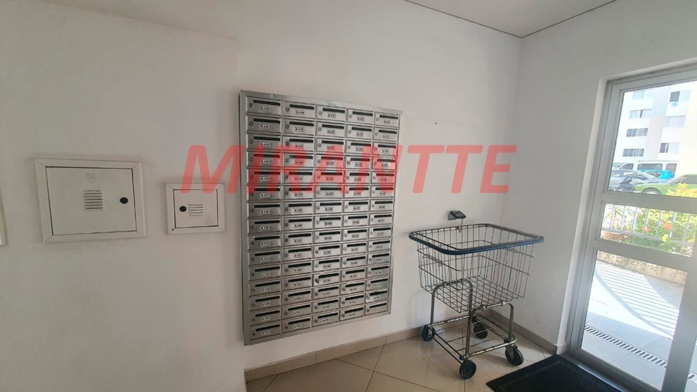 Apartamento de 53m² com 2 quartos em Vila Amelia