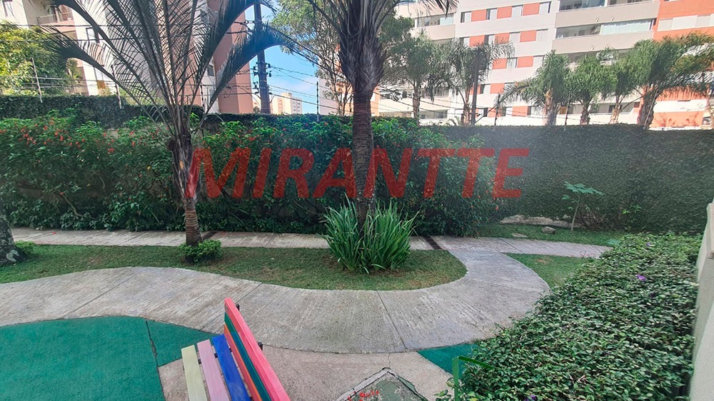 Apartamento de 53m² com 2 quartos em Vila Amelia