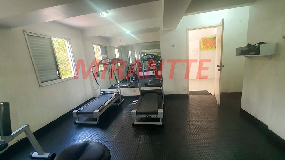 Apartamento de 53m² com 2 quartos em Vila Amelia