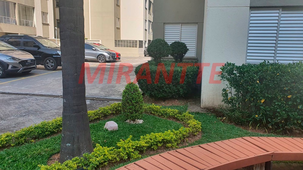 Apartamento de 53m² com 2 quartos em Vila Amelia