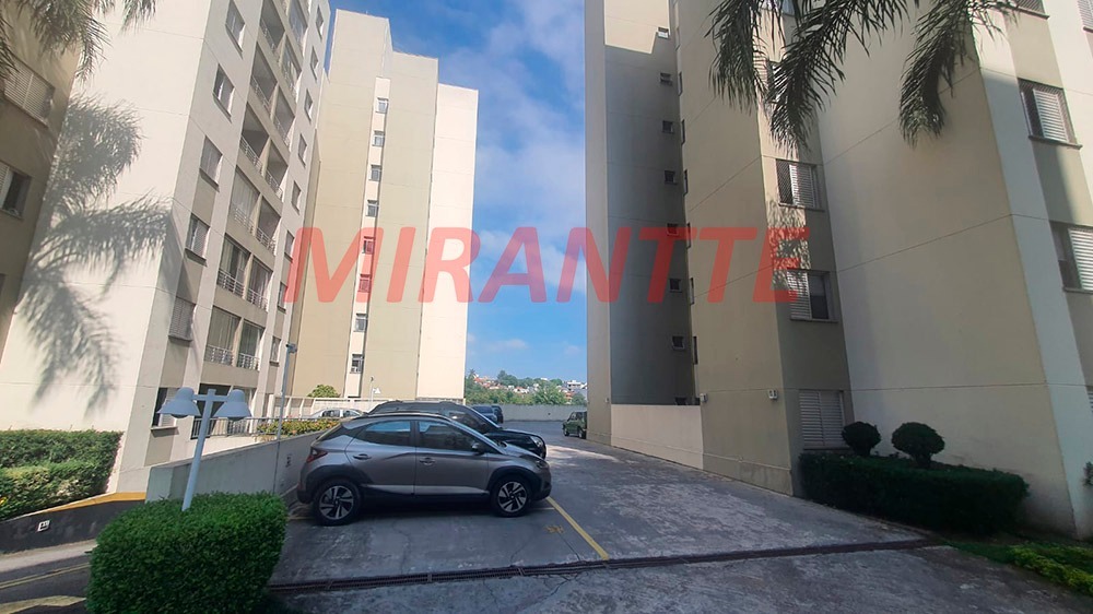 Apartamento de 53m² com 2 quartos em Vila Amelia