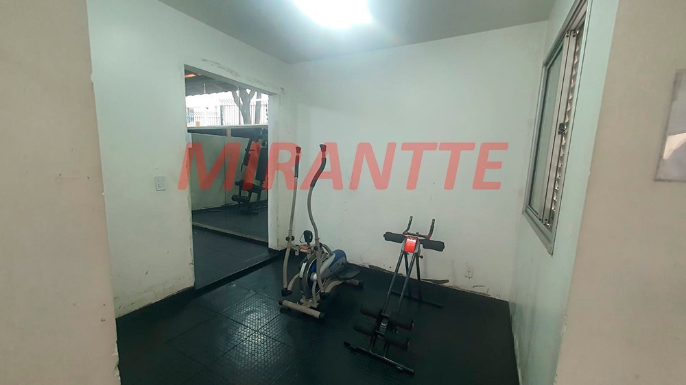 Apartamento de 53m² com 2 quartos em Vila Amelia