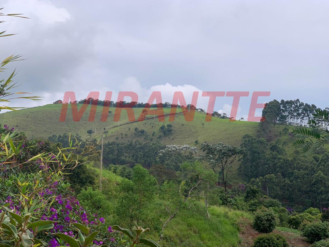 Terreno de 0m² em Souza