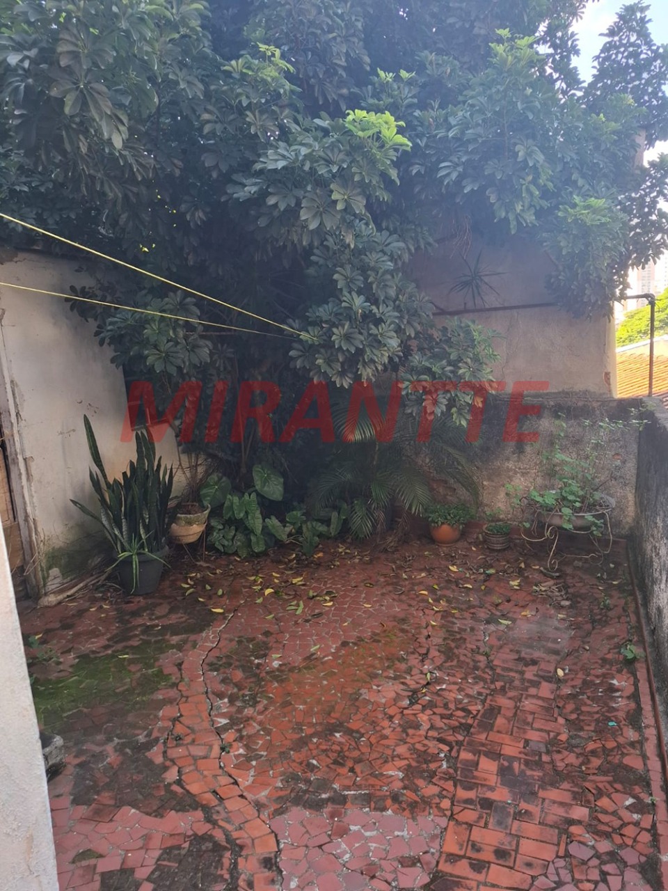 Terreno de 0m² em Tucuruvi