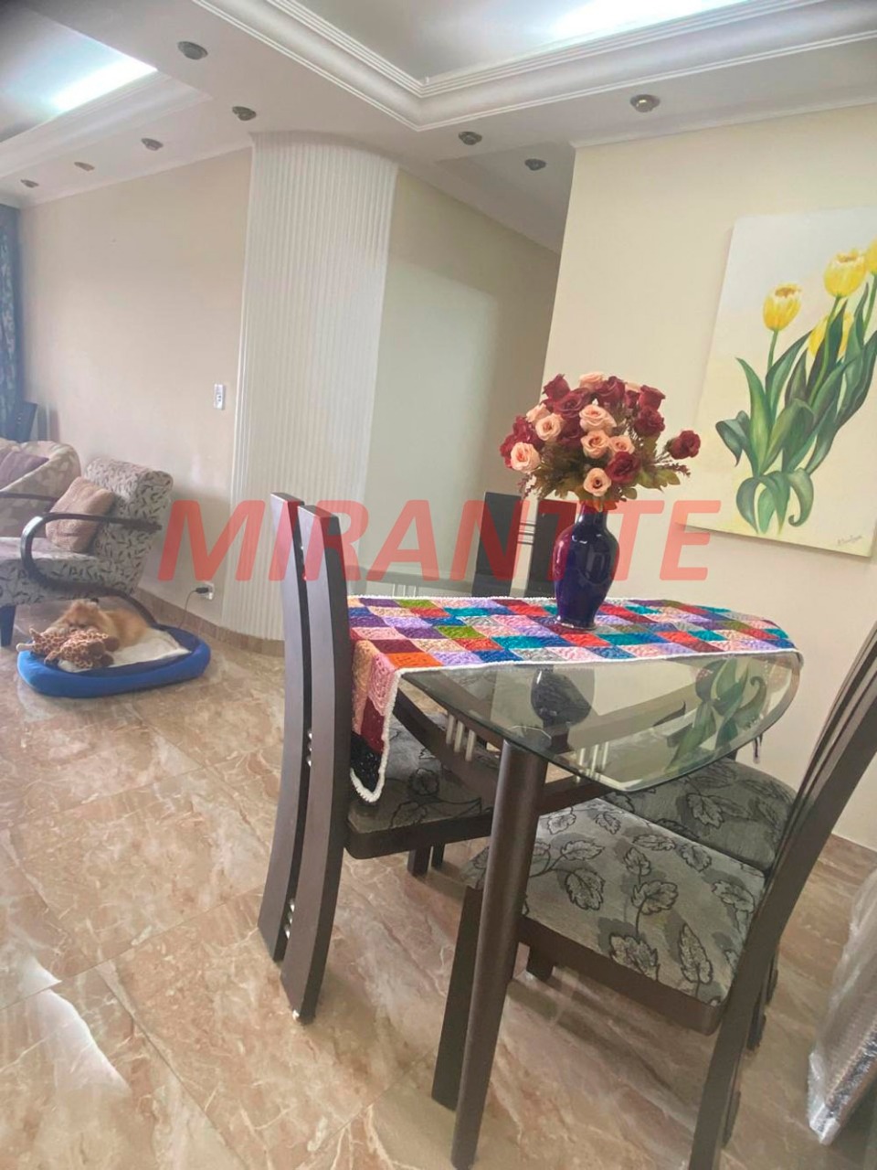 Apartamento de 73m² com 3 quartos em Vila Gustavo