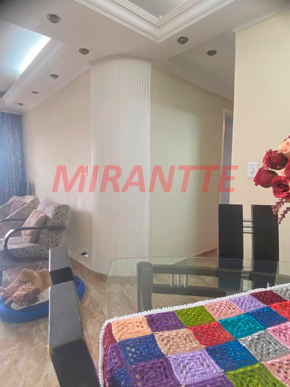 Apartamento de 73m² com 3 quartos em Vila Gustavo