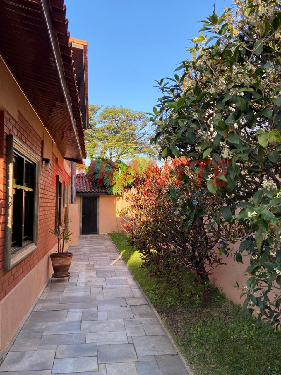 Casa terrea de 340m² com 4 quartos em Butantã