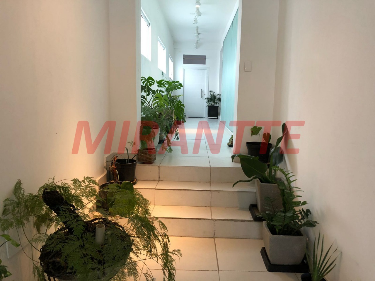 Apartamento de 68m² com 1 quartos em Mirandopolis
