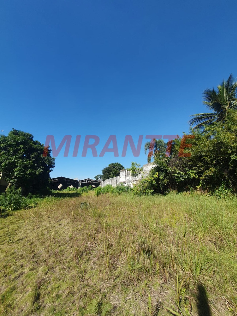 Terreno de 0m² em Vila Nova Mazzei