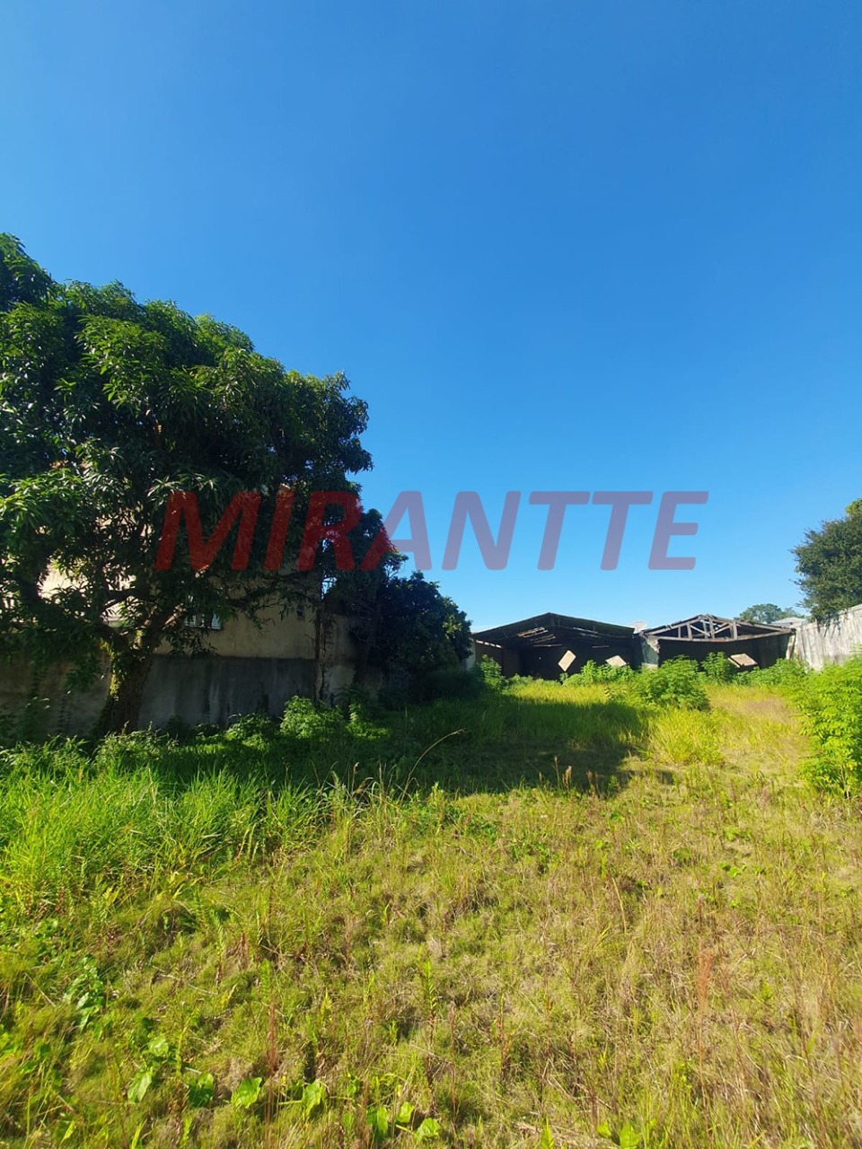 Terreno de 0m² em Vila Nova Mazzei
