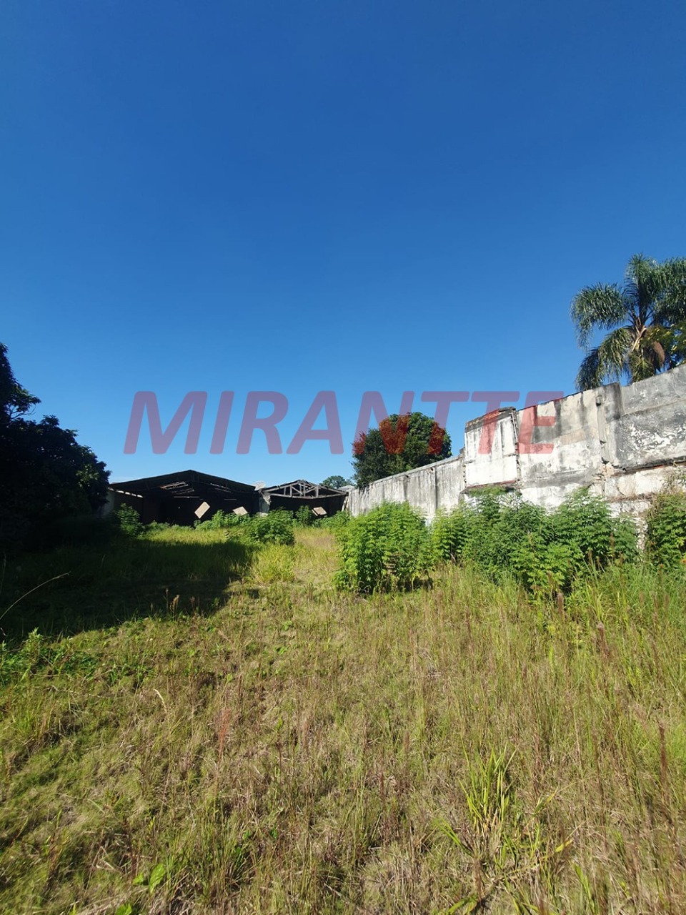 Terreno de 0m² em Vila Nova Mazzei