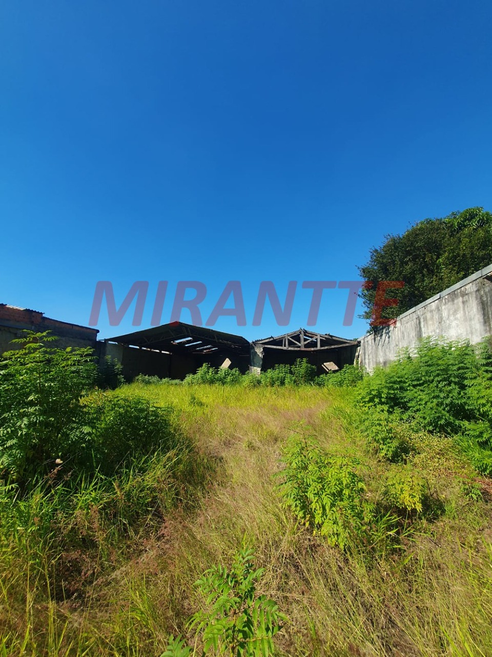 Terreno de 0m² em Vila Nova Mazzei