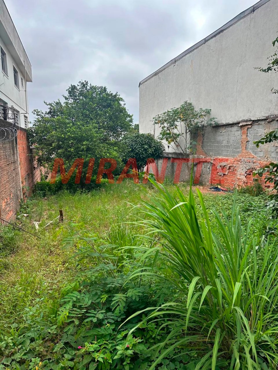 Terreno de 250m² em Vila Sabrina