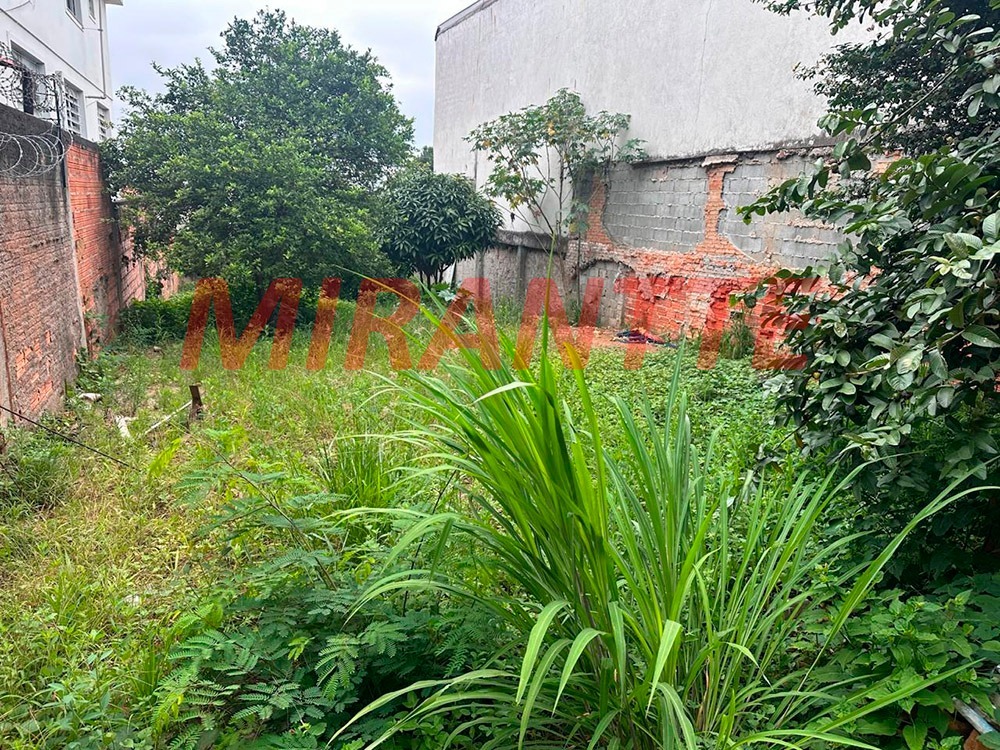 Terreno de 250m² em Vila Sabrina