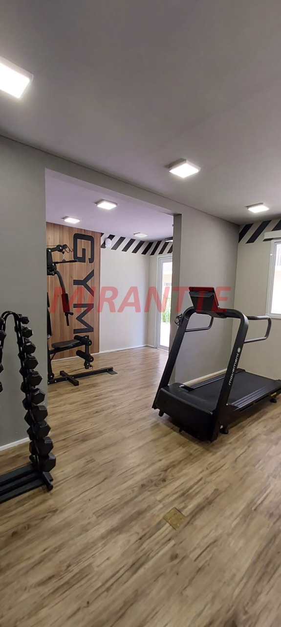 Apartamento de 36m² com 1 quartos em Vila Guilherme