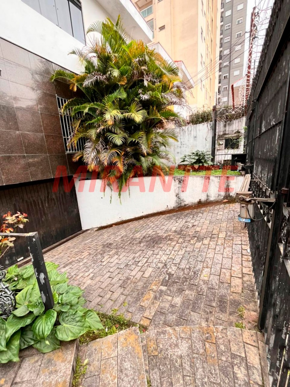 Casa terrea de 400m² com 4 quartos em Tucuruvi