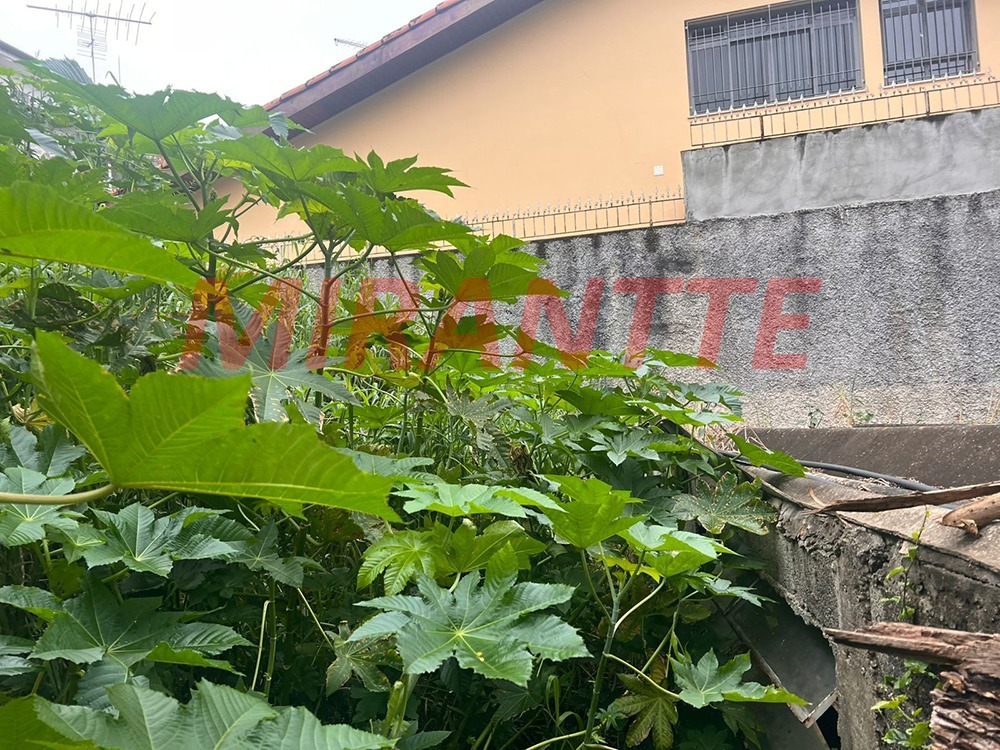Terreno de 0m² em Bortolândia
