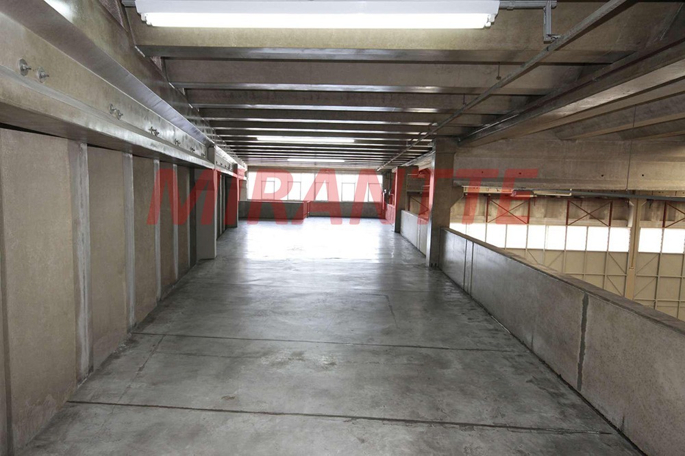 Galpao de 2599m² em Parque Novo Mundo