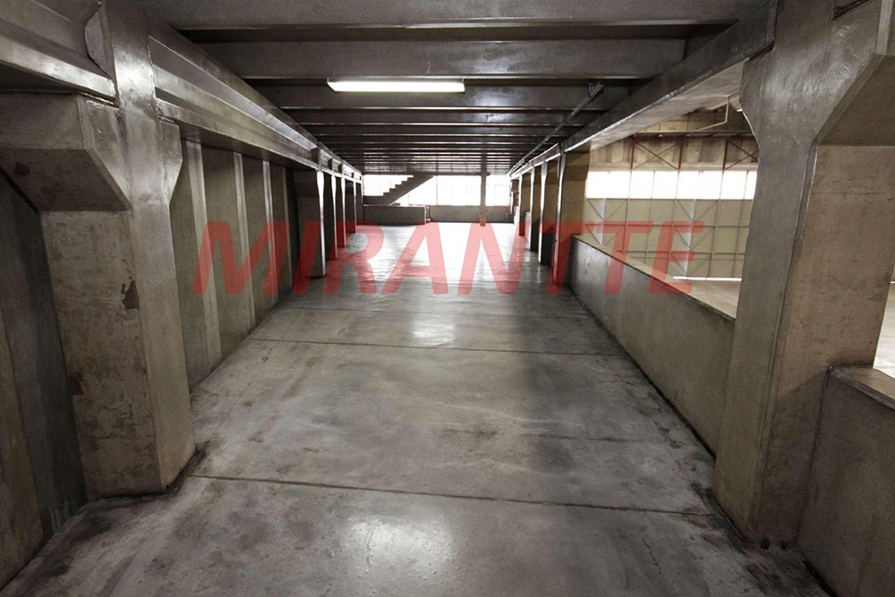 Galpao de 2599m² em Parque Novo Mundo