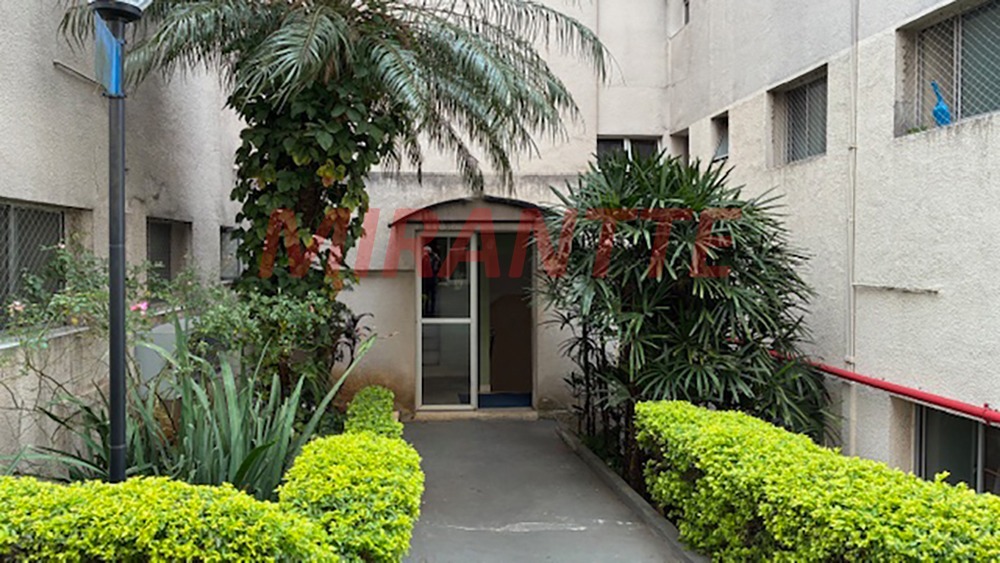 Apartamento de 52m² com 2 quartos em Lauzane Paulista