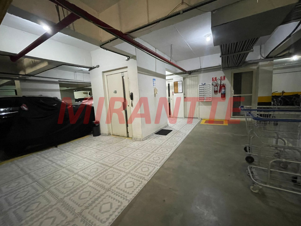Apartamento de 196m² com 3 quartos em Vila Pauliceia