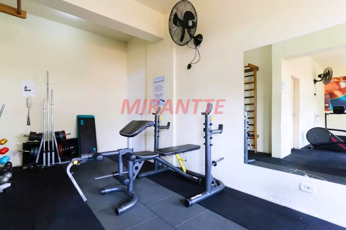 Apartamento de 50m² com 2 quartos em Vila Basileia