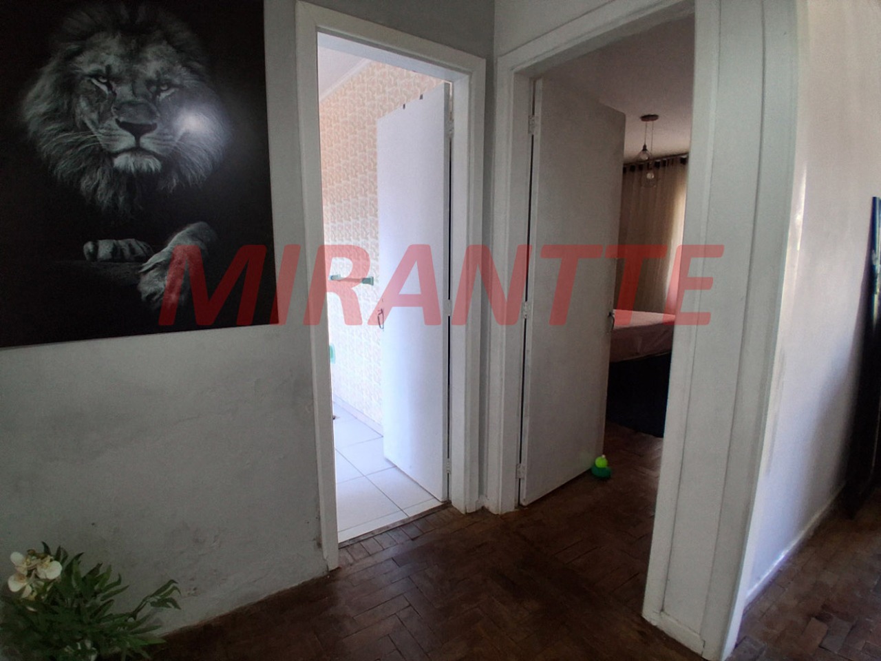 Casa terrea de 195m² com 3 quartos em Vila Guilherme