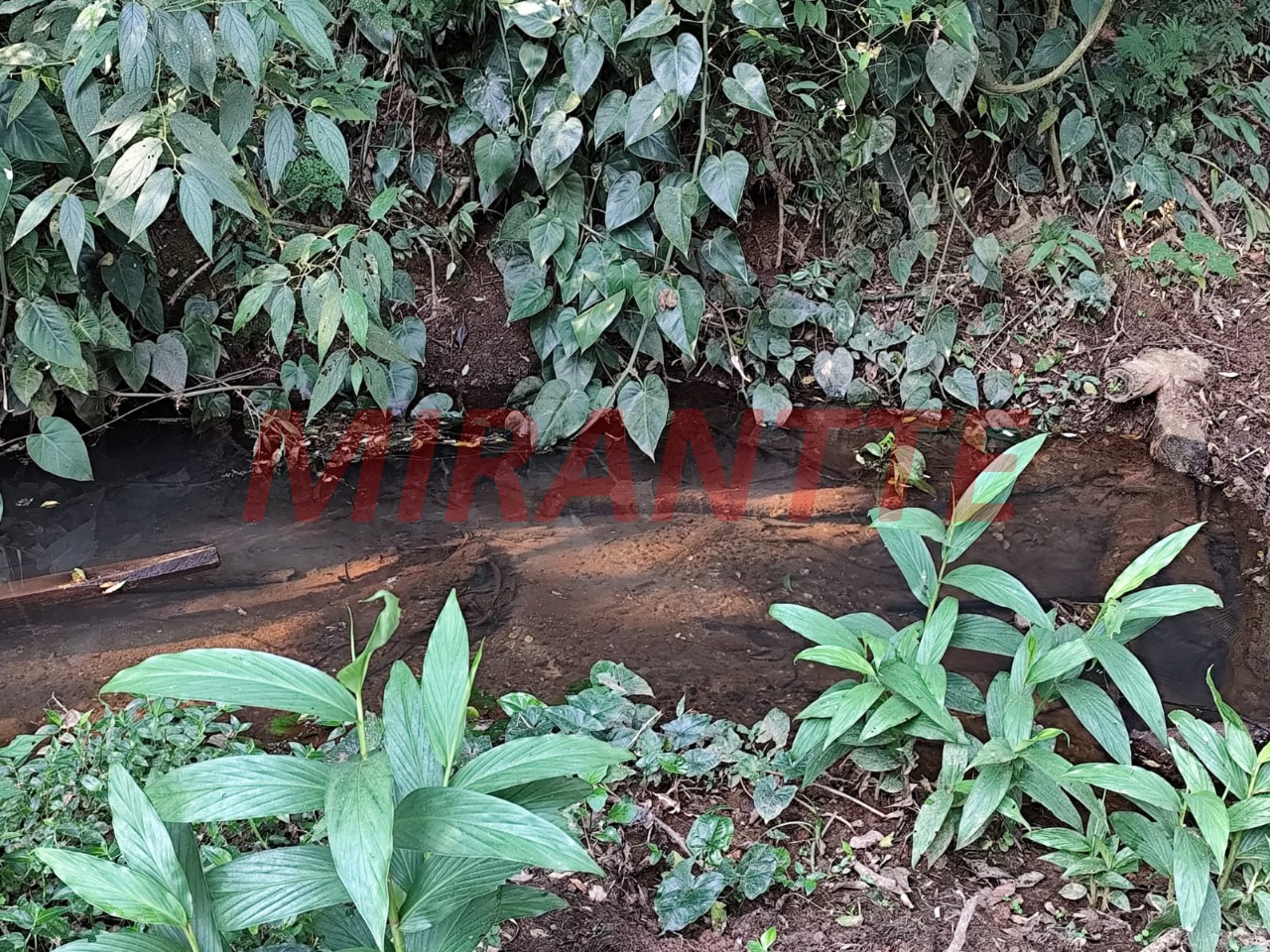 ChÁcara de 210m² com 2 quartos em Nova Chácara do Pinhal IV (Pinhal)