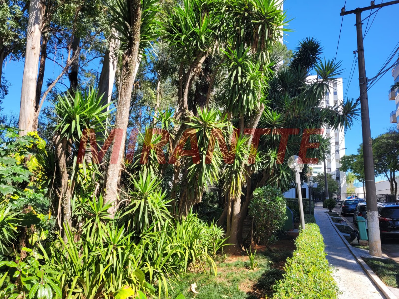 Apartamento de 93m² com 3 quartos em Vila Ester