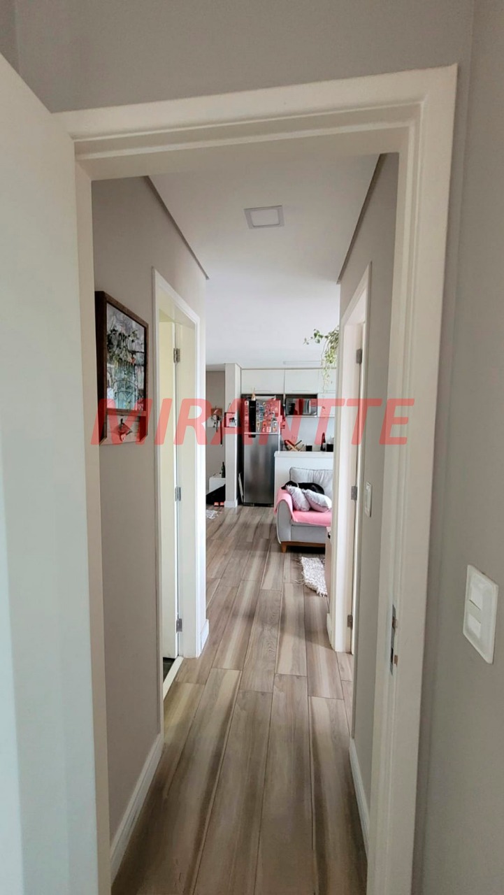 Apartamento de 59m² com 2 quartos em Vila Dom Pedro II